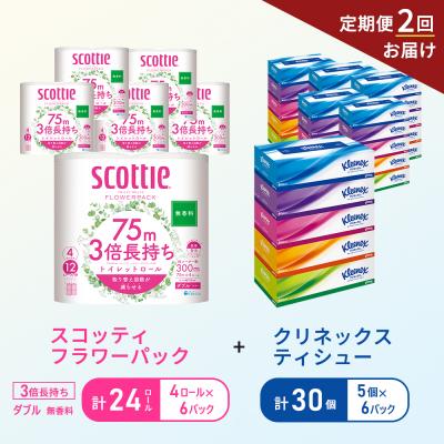 ふるさと納税 岩沼市 【6ヶ月ごと計2回お届け】ティッシュ+トイレットペーパー無香料6P[No.5704-1787]