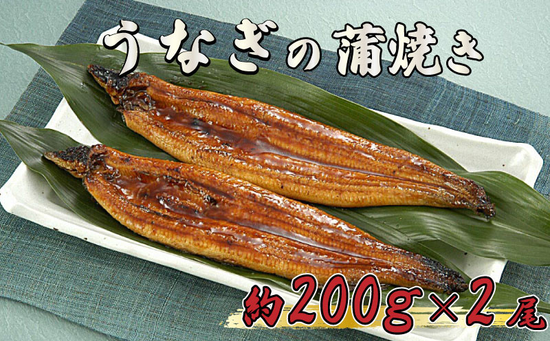 
うなぎ 鰻 蒲焼 約 200g × 2尾 減塩 醤油 ベース 蒲焼きのタレ 付き 高知県 須崎市
