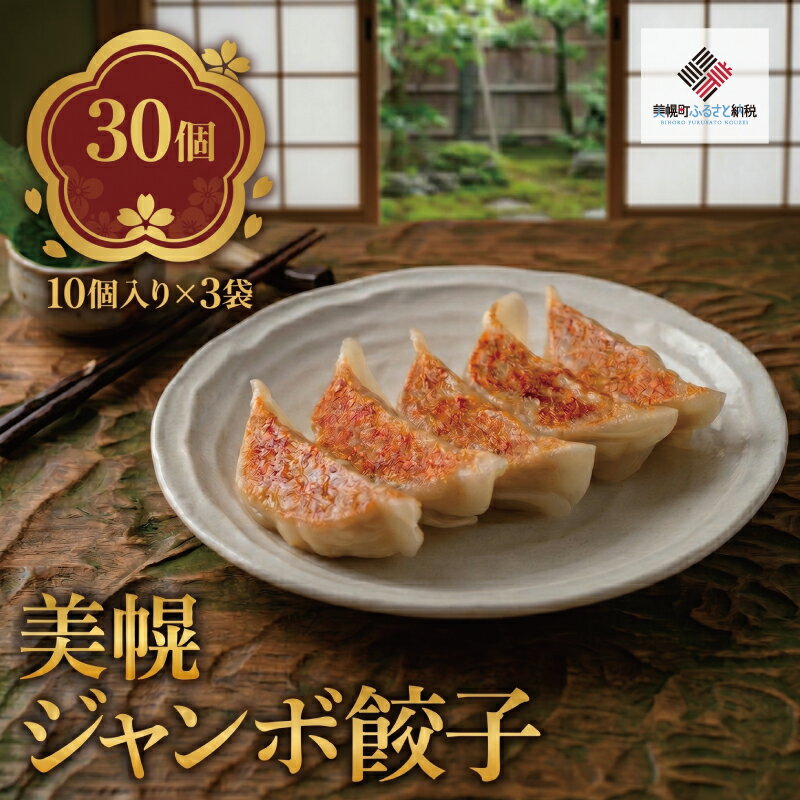 【ふるさと納税】 美幌ジャンボ餃子　30個(10個入り×3袋)【配送不可地域：離島】 ふるさと納税 人気 おすすめ ランキング 餃子 ぎょうざ ギョーザ ジャンボ ジャンボ餃子 ジャンボぎょうざ ジャンボギョーザ おかず 惣菜 北海道 美幌町