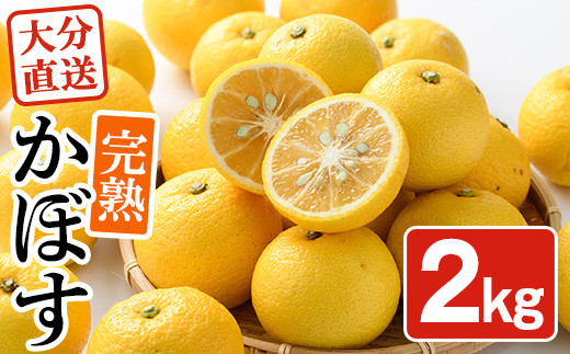 <先行予約受付中！2026年11月上旬以降順次発送予定>完熟かぼす(約2kg)かんきつ 柑橘 期間限定 おもとの丘【111300300】【未来農林】