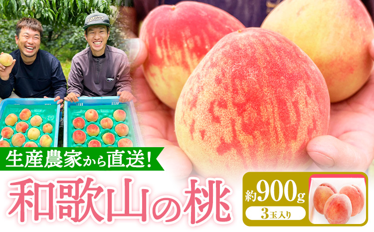 和歌山県産の桃 約900g (3玉入り) GREEN JUNCTION株式会社《2025年6月中旬-2025年8月末頃出荷》和歌山県 紀の川市 桃 果物 果実 フルーツ 自然栽培 送料無料---wsk_cgjt3_6c8m_24_8000_3t---