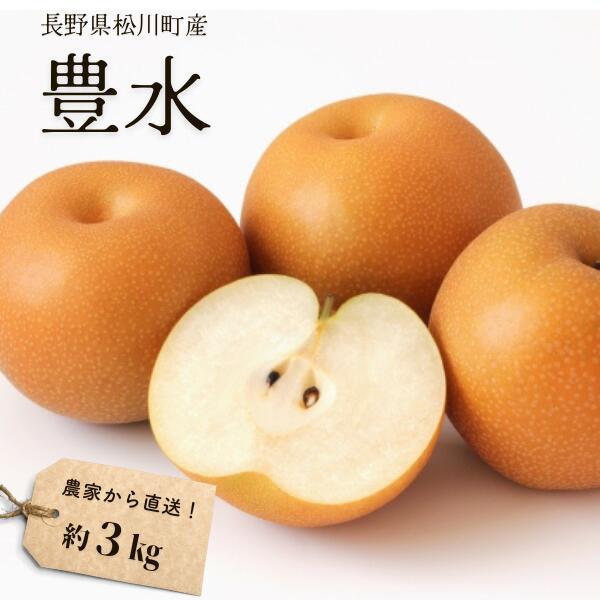 【ふるさと納税】梨 豊水 約3kg（6～9玉）松川町産 贈答／9月中旬頃配送予定 // 南信州産 長野県 和梨 なし ナシ 豊水 農家直送 農家支援 KW03