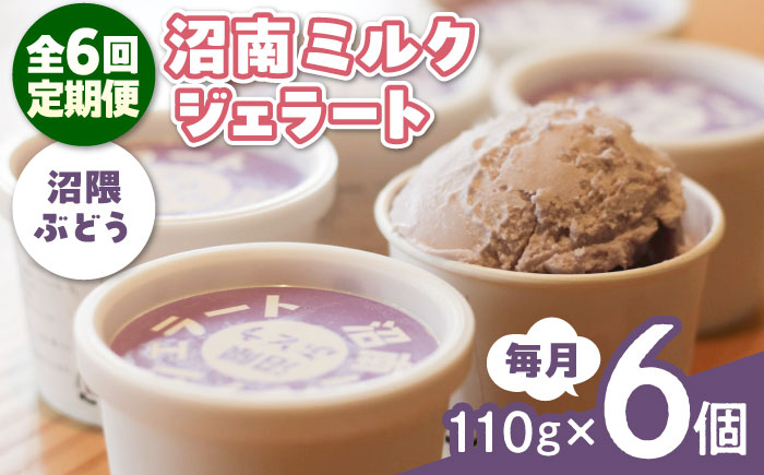 
            【全6回定期便】アイス 沼南ミルクジェラート 沼隈ぶどう ６個 ぶどう ブドウ アイスクリーム ジェラート デザート スイーツ マスカット ニューベリーA 果汁 ご当地 グルメ お取り寄せ 冷凍 贈答 贈り物 ギフト プレゼント お土産 濃厚 さっぱり ミルク 新鮮 果物 特産品 美味しい カップアイス 夏 冬 おやつ 贅沢 家族 誕生日 定期便 広島県福山市/甚ごろう [BAEC043]
          