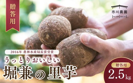 里芋 堀兼の里芋(贈答用) 2.5㎏ | さといも 里いも 里芋 サトイモ 土付 野菜 旬 新鮮 期間限定 季節限定 根菜類 根菜 煮物 芋煮 コロッケ 味噌汁 みそ汁 おでん 産地直送 市川農園 埼玉県 狭山市