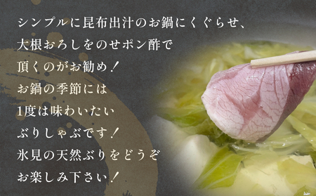 【氷見鰤】新物天然ぶりしゃぶ！300ｇ×2パック　2～3人用　満足サイズ  | 鰤 ブリしゃぶ しゃぶしゃぶ 国産 天然 ブリ 富山 氷見 お取り寄せ 特産品 冷凍 肴 氷見漁港 富山湾 天然鰤 鍋 