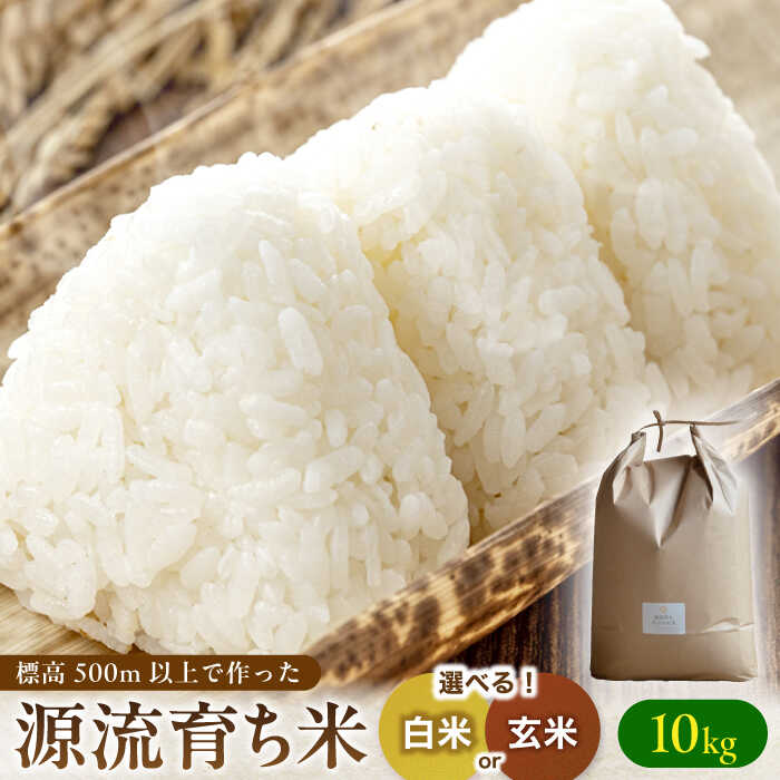 【ふるさと納税】＜新米 予約＞ R7年度産 お山のお米 白米 玄米 10kg 国産 岐阜 白川町 / Sunpo[AWBC008]