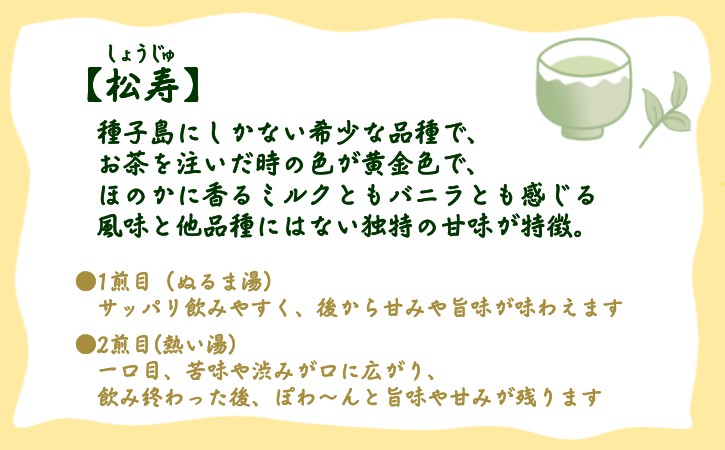 【 R8年産 】種子島 射場貴大 茶園 「松寿」 「くりわたせ」 「しまみどり」 種子島 限定 茶 セット　NFN571 【350pt】 // 日本茶 緑茶 希少品種 お茶 新茶 一番茶 松寿 くりわ
