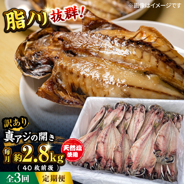 【全3回定期便】漁師町佐島 真アジの開き 約2.8kg（40枚前後）セット 干物 横須賀 【石川水産】 [AKCX006]