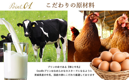 プリン CocoRoプリン3個（ギフト包装＋メッセージシール「おめでとう」）
