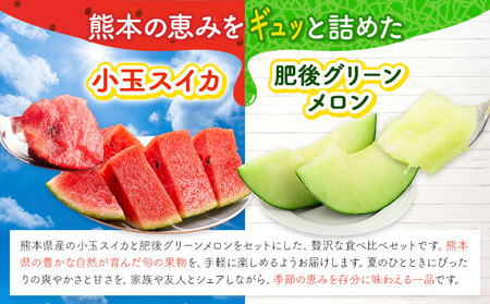 小玉スイカ&肥後グリーンメロン 食べ比べ 各1玉(計2玉 約3.5kg)  日本フルーツ株式会社 《5月中旬-7月末頃出荷》 熊本県 菊池市 西瓜 メロン 熊本県産