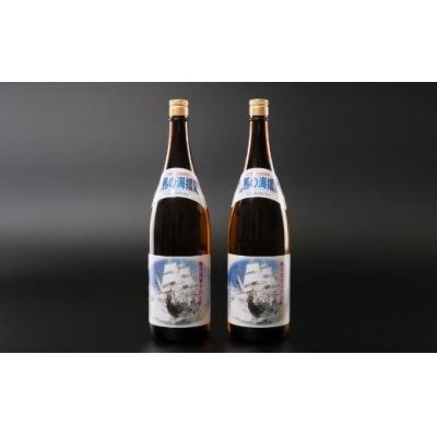 ふるさと納税 室戸市 本格米焼酎(25度)龍馬の海援隊1800ml×2本