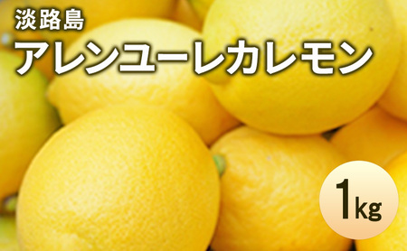 淡路島 アレンユーレカレモン 1kg 檸檬 れもん 果物 フルーツ 季節の果物 兵庫県 洲本市 淡路島