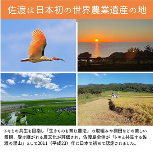 【新潟県佐渡】佐渡産の純粋コシヒカリ25kg<数量限定> 令和7年産 精米【無洗米】5kg×5袋