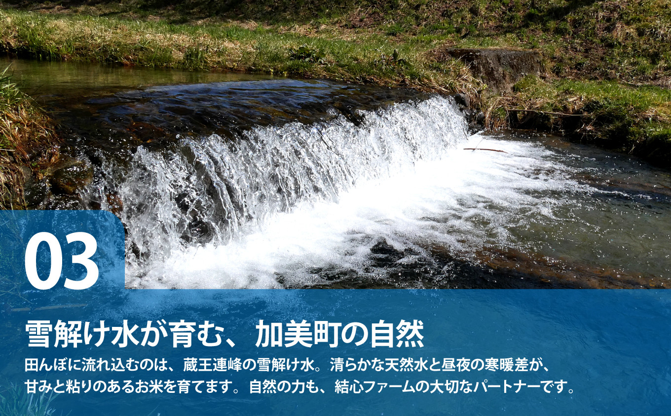 つや姫 5kg / 10kg 令和8年産 宮城県加美町産