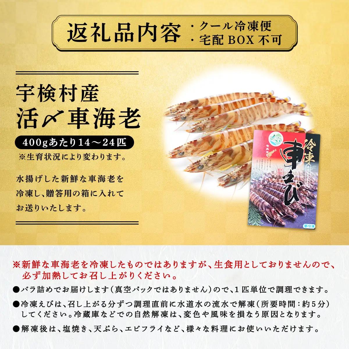 冷凍車えび 500g 贈答箱入り 活〆車海老 エビ 魚介 海鮮 人気 奄美大島 宇検村 鹿児島 車海老 
