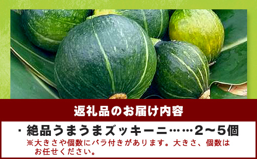 希少！「絶品うまうまズッキーニ」サイズ色々 2～5個 農薬を使わず、特許製法のシリカ水で栽培する特別な野菜 11月～3月順次発送【 沖縄県 石垣市 丸形 だるま型 ズッキーニ 野菜 夏野菜 冬野菜 南