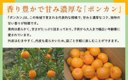 【先行予約】【数量限定】JAにしうわ みつる共選 ポンカン約10kg(2S~2L)※離島への配送不可(2026年1月中旬より順次発送予定) 【 ぽんかん ポンカン みかん ミカン 果物 】 IKTBC