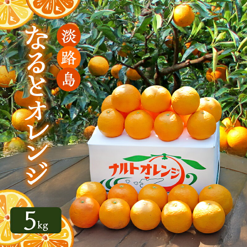 【ふるさと納税】淡路島 なると オレンジ 5kg なるとオレンジ フルーツ 果物 春 旬 兵庫県 洲本市　お届け：4月上旬～6月下旬まで