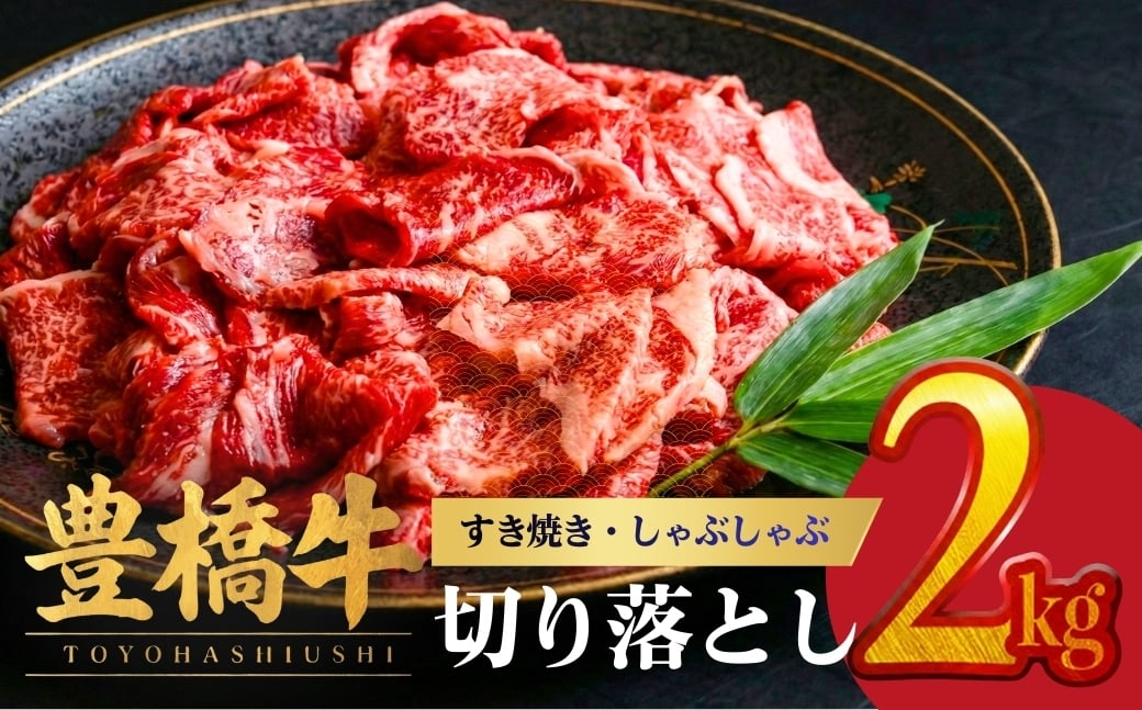 
            【在庫限り】豊橋牛 切り落とし 2kg  (200g×10パック）  | 牛肉 肉  国産牛 肉 焼肉 すき焼き  不揃い 冷凍  豊橋市 すぐ届く 年内配送 年内配送できるもの 国産 牛肉 牛 スライス 小分け 大満足 赤身 肉 数量限定 肉 牛肉切り落とし 牛切り落とし 国産牛 ブランド牛 
          