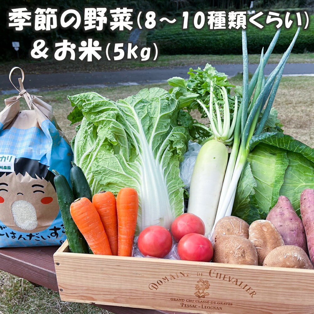 【ふるさと納税】季節の詰合せ 野菜の宝箱 (お米5kg入り)｜新鮮 旬 採れたて やさい 米 詰め合わせ セット 産地直送 千葉 房総 袖ケ浦 [0377]