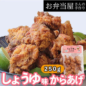 からあげ専門店の大人気冷凍からあげ(4種×各10個入り)