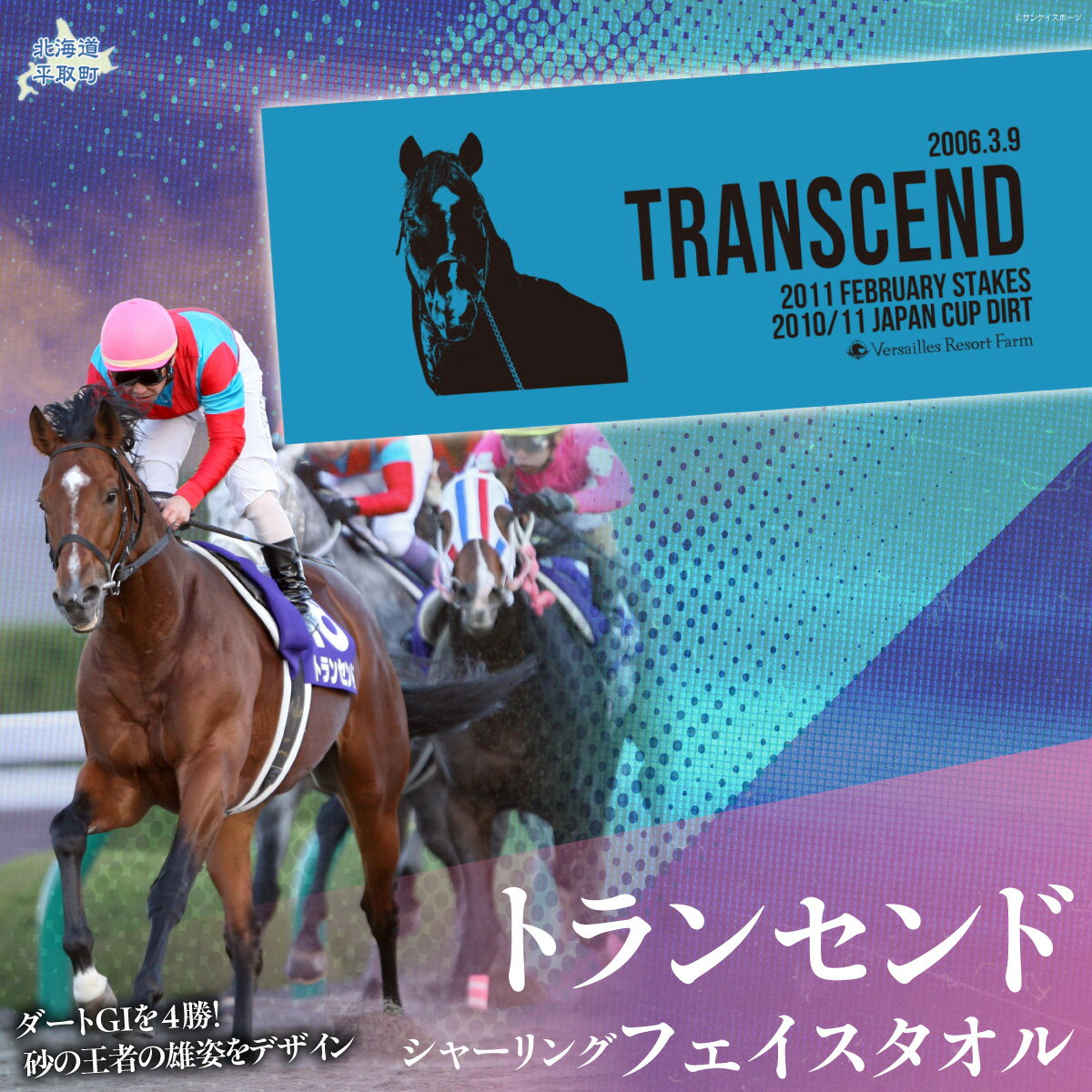 【ふるさと納税】【トランセンド】シャーリングフェイスタオル 【ふるさと納税 人気 おすすめ ランキング 馬 競馬 競走馬 引退馬 トランセンド タオル フェイスタオル 生活 日用品 日高 北海道 平取町 送料無料】 BRTV155