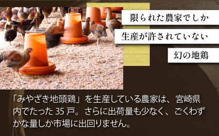 U-A3 ＜認定農家直送＞のびのびと育てたみやざき地頭鶏の生肉セット(合計1kg・モモ肉300g×2P、ムネ肉200g×2P)炭焼やソテー、鶏すき焼きに【権代ファーム】