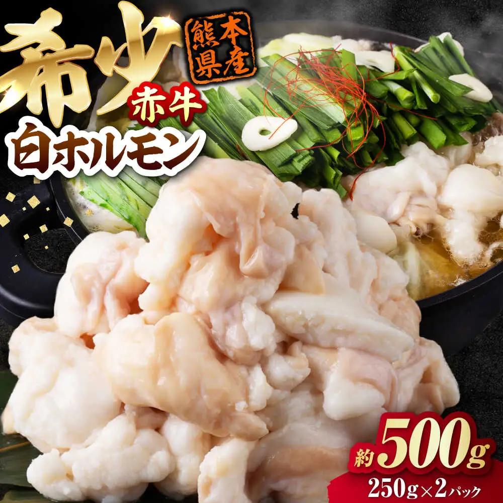 赤牛 ホルモン 500g（250g×2パック） ホルモン 牛肉   [AYBV040]