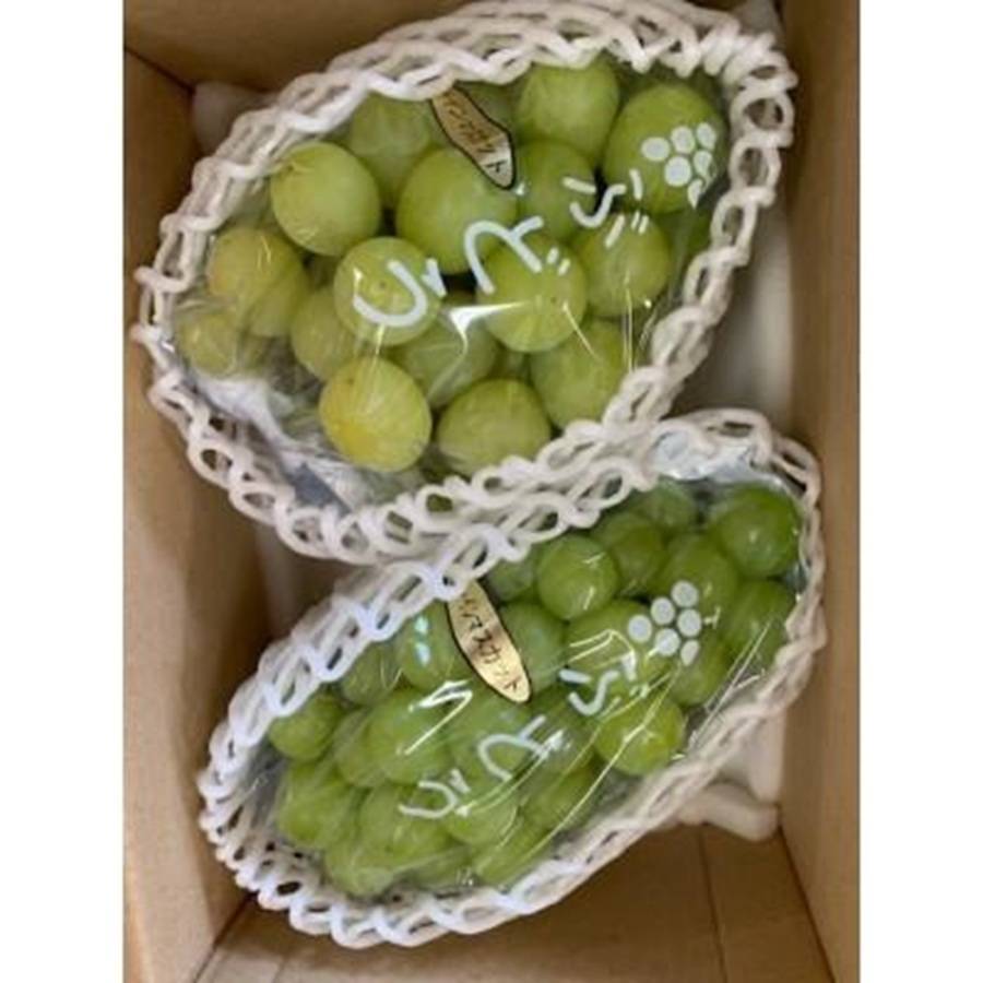 ＜池田鹿蔵農園＞朝採り「シャインマスカット」1.5kg（2～3房）
