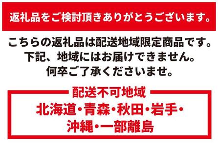 ヘラクレスオオカブトペア（オス120mm～130mm前後・メスフリー）※配送不可地域あり