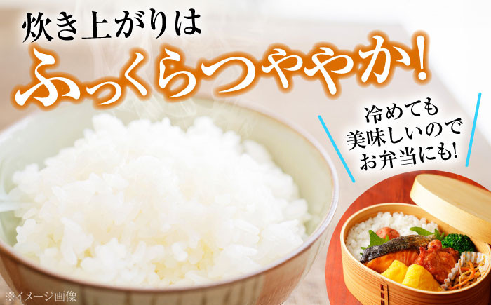 白米 贈答 ギフト 特産品 産地直送 取り寄せ お取り寄せ 送料無料 広島 三次