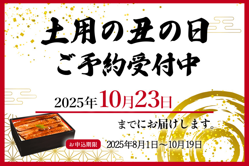 大型サイズ　ふっくら柔らか　国産うなぎ蒲焼き　2尾　化粧箱入［夏土用の丑の日のうなぎ］［10月23日までにお届け］［UT05］