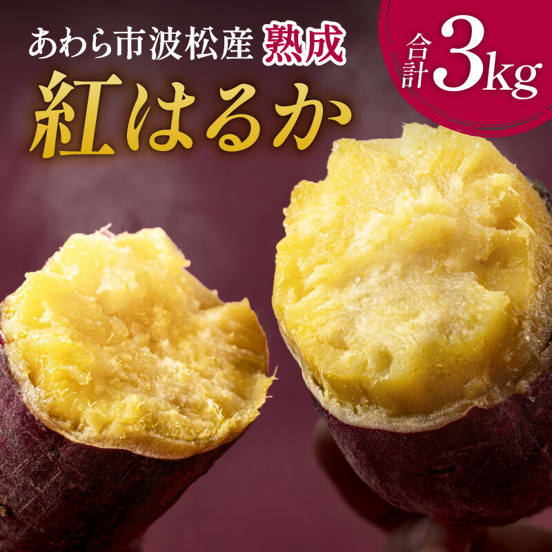 【ふるさと納税】【先行予約】あわら市波松産 紅はるか 3kg ※2025年10月上旬より順次発送 / 厳選 不揃い さつまいも 土付き 熟成 焼き芋 福井県 薩摩芋 密芋 スイートポテト しっとり ほっくり 自然のスイーツ 極甘 農研機構許諾済 メディアで人気 腸活