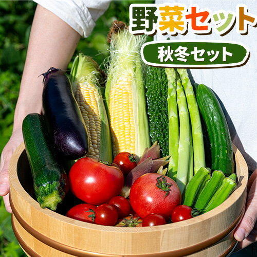 【ふるさと納税】 野菜セット 冬 八頭船岡農場《12月上旬-2月末頃出荷》鳥取県 八頭町 サツマイモ 白カブ 赤カブ 大根 白ネギ
