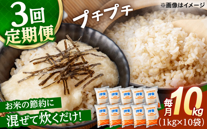 【全3回定期便】 押麦「長崎100年麦 御島裸」1kg×10袋 計10kg / 麦 むぎ 押麦 はだか麦 麦味噌 雑穀 雑穀米 食物繊維 小分け / 諫早市 / 有限会社伊東精麦 [AHBU010]