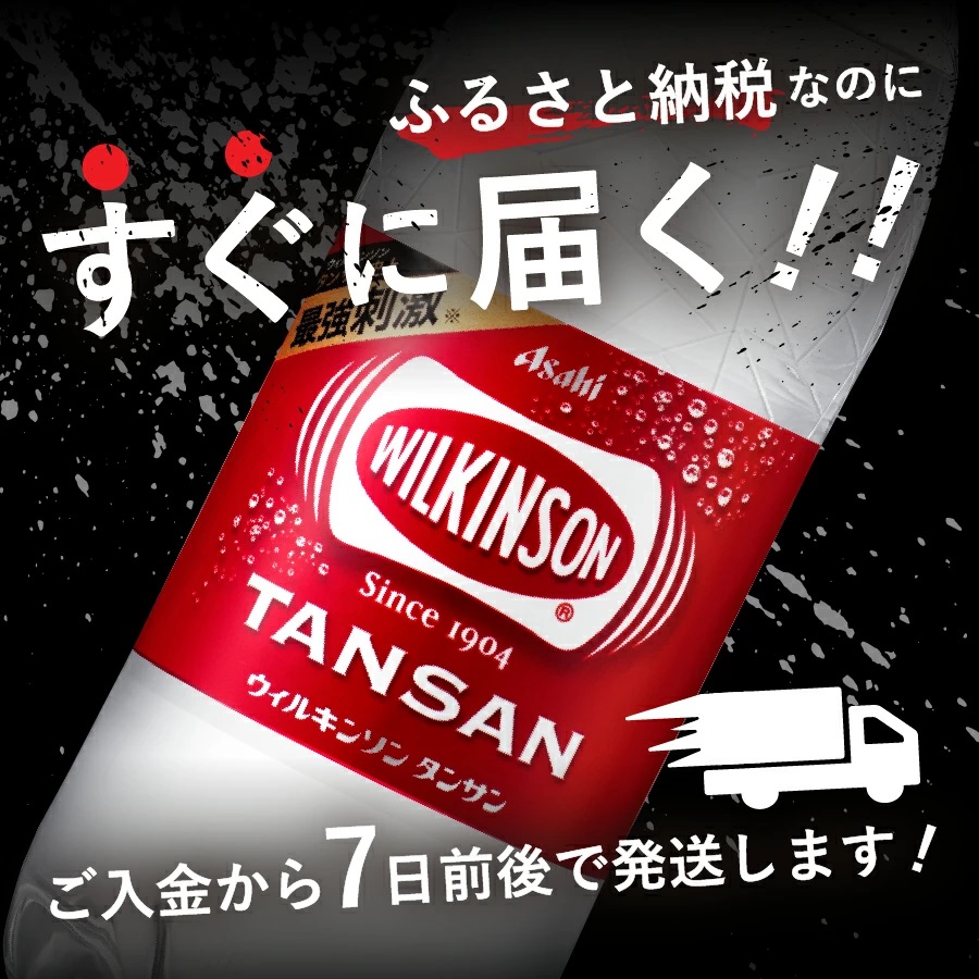 【炭酸水】ウィルキンソン　タンサン　PET500ml×2箱(48本入り)