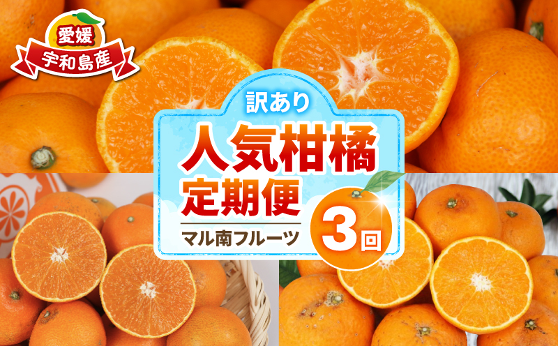 訳あり 人気柑橘 3回 定期便 マル南フルーツ 愛果28号 ( 紅まどんな と同品種) 宇和島みかん 蜜柑 mikan みかん あいか せとか 早生温州 定期便 果物 くだもの 愛媛県産 訳アリ 訳あ