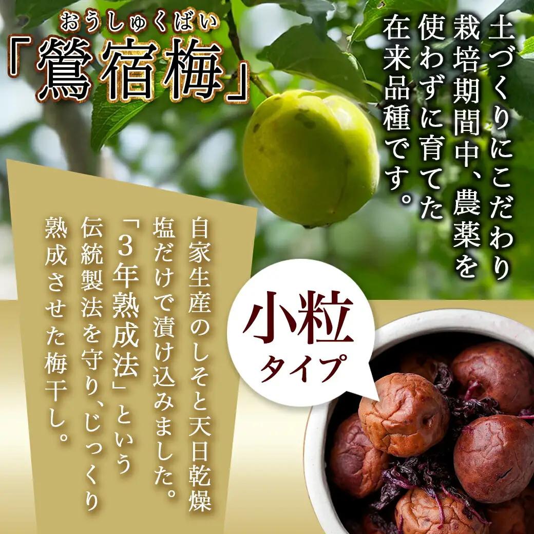 徳重おばあちゃんの3年熟成小粒梅干し1.5kg _AD-49-003-1500g_(都城市) 紅梅 いのちの梅干し 3年熟成小粒梅干(500g×3個) 塩分12％ 長期熟成 自家農園 伝統農法 お弁当