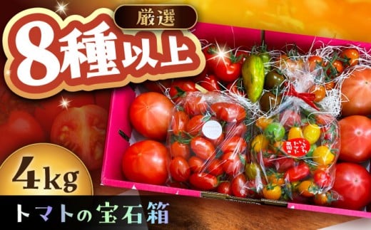 トマトの宝石箱 4kg / トマト とまと 大玉トマト ミニトマト 詰め合わせ お取り寄せ 産地直送 とまと トマト 野菜 やさい ギフト 贈答 プレゼント 岐阜市産 恵那市産 / 恵那市 / クリエイティブファーマーズ ［AUAH015］