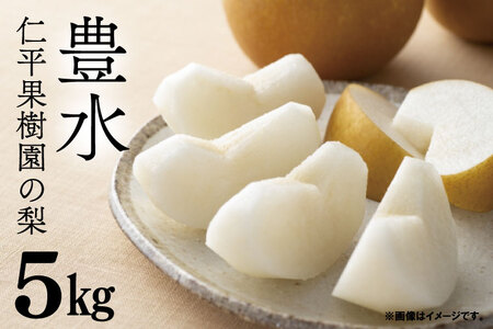 【先行予約】【数量限定】仁平果樹園の梨 「豊水」5kg (8個～14個) (9月中旬より順次配送) | 果物 新鮮 フルーツ ギフト 梨 ナシ 益子町産梨 甘い あまい 糖度11.5以上 糖度保証 果汁 果肉 栃木県 益子町 (DB002)