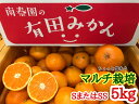 【ふるさと納税】ちょっと傷あり【マルチ栽培・有田みかん】SまたはSSサイズ／約5kg ※着日指定不可 ※12月中旬頃〜翌年1月下旬頃に順次発送予定