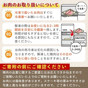 鹿児島県産黒毛和牛500g(特製タレ漬け) 国産 鹿児島県産 黒毛和牛【アグリおおすみ】A-287