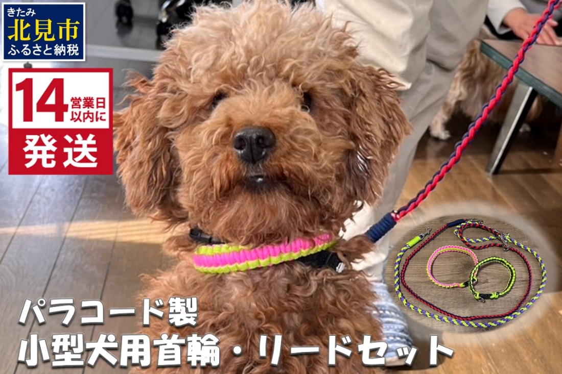 《14営業日以内に発送》小型犬用首輪 2個 リード 2本 4点セット ( ペット 犬 小物 わんこ 手作り 首輪 リード )【195-0006】