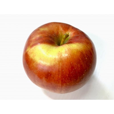 【2025年10月発送予定】平均糖度12度以上! 葉とらずサンつがる 約5kg 訳あり【配送不可地域：離島・沖縄県】【1607055】