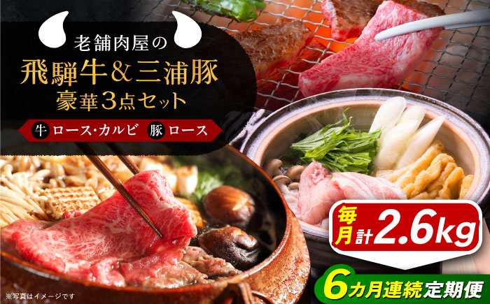 
            【6回定期便】 牛肉 飛騨牛ロース1kg カルビ700g 三浦豚ロース900g 豪華3点セット 各種類1パック しゃぶしゃぶ・焼肉 和牛 国産 霜降り 肉 にく 牛肉 国産 和牛 高級肉 霜降り 産地直送 贈答用 ギフト ブランド牛 岐阜県 希少部位 岐阜県産 人気 お取り寄せ / 恵那市 / 岩島屋 [AUAJ031]
          