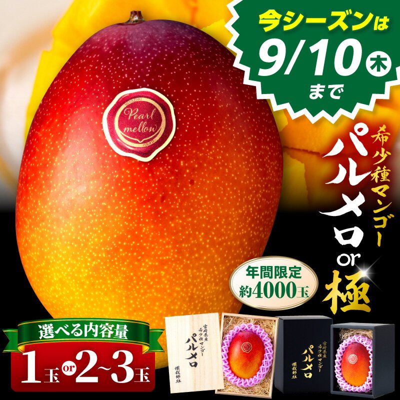 【ふるさと納税】《2026年発送》【選べる内容量】【数量・期間限定】宮崎県産 希少種マンゴー パルメロ ・ (極)パルメロ マンゴー 完熟マンゴー 果物 フルーツ スイーツ デザート ご褒美 贈り物 贈答 化粧箱 希少 甘み 新鮮 冷蔵 檬栽師組 高糖度 グルメ 宮崎市
