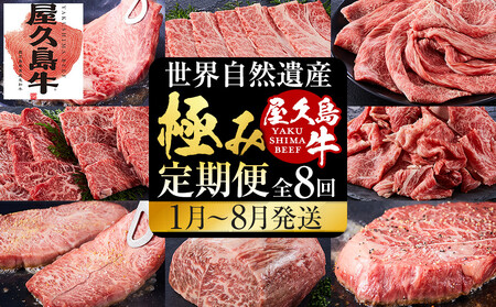 【定期便 全8回】【屋久島牛】世界自然遺産 全品堪能定期便＜1～8月発送＞