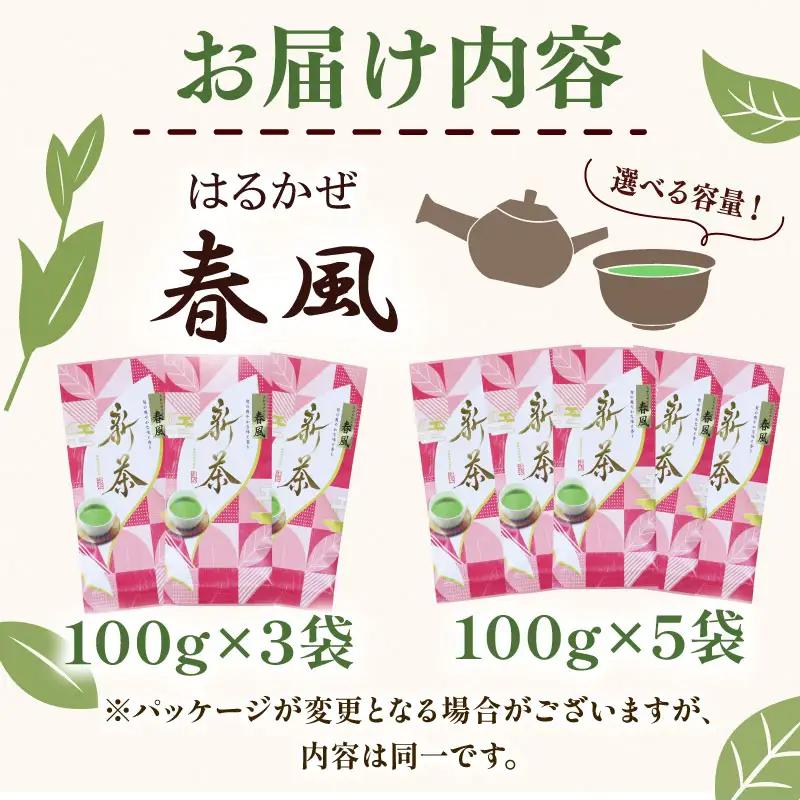 2026年度産 新茶 春風100g×5袋 静岡 県 牧之原市 相良物産