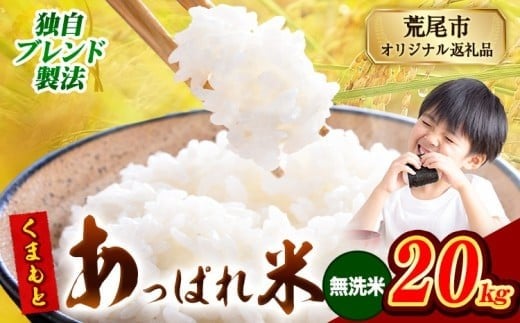 熊本県産 くまもとあっぱれ米 ブレンド米 20kg 熊本県産 ふるさと納税 無洗米 精米 米 こめ ふるさとのうぜい コメ お米 おこめ