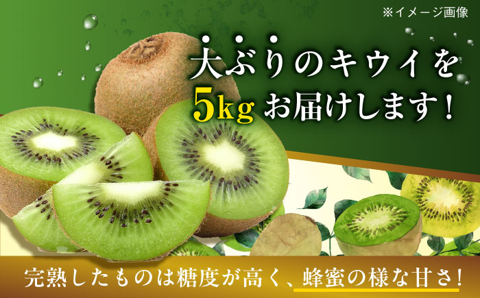 【11月以降順次発送】生産量日本一！家族で毎日食べられる！キウイフルーツ 約5kg　愛媛県大洲市/沢井青果有限会社果物 [AGBN002]キウイ フルーツ かき氷 果物 スムージー おやつ ジュース 